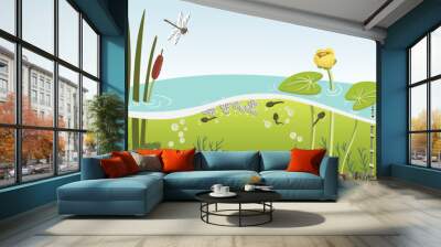 vector drawing river water, plants and frog, lesser bulrush, rough horsetail , yellow waterlily and dragonflies, underwater life, hand drawn illustration Wall mural