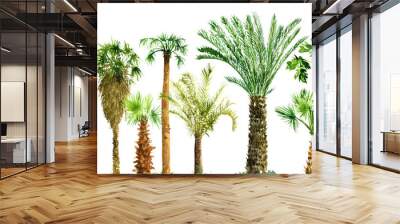 watercolor sketch of palm trees Wall mural