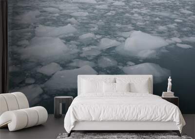 Antarctica and beautiful antarctic ice Wall mural