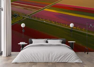 Tulip fields in Noordoostpolder, in the Netherlands - Aerial View Wall mural