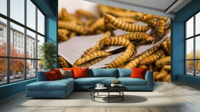 Fried insects, molitors Wall mural