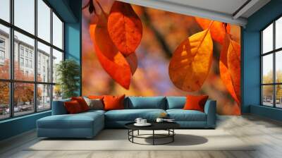 Golden orange branch and leaf texture Wall mural