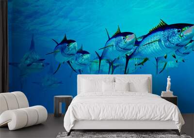 Marlin after Yellowfin Tuna School - Predatory Blue Marlin chase after an undersea school of Yellowfin Tuna fish in the Atlantic ocean. Wall mural