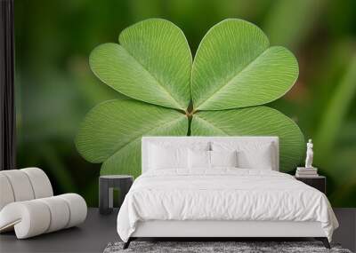 A four-leaf clover, a symbol of good luck. Rare and hard to find in nature. Wall mural