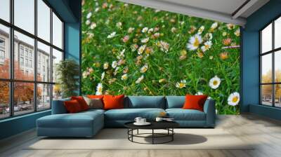 recommendations for ornamental plants in the yard Wall mural