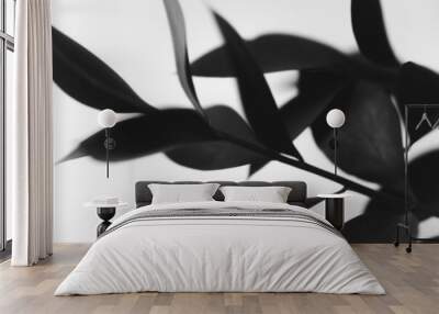 black and white flowers and plants,flowers on black background Wall mural