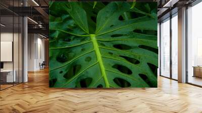 high detail tropical plants with cool tones Wall mural