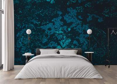 Night pond, the moon illuminates the texture of water and plants on th Wall mural