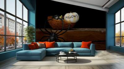 still life halloween pumpkin on black background. halloween conc Wall mural