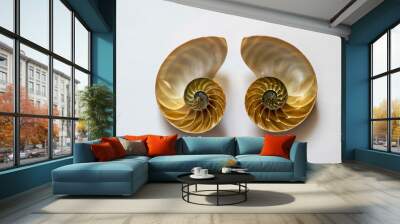 Two halves of an open nautilus sea shell. Wall mural