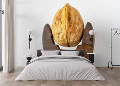 walnut is clamped by rusty pliers on a white background, copy sp Wall mural