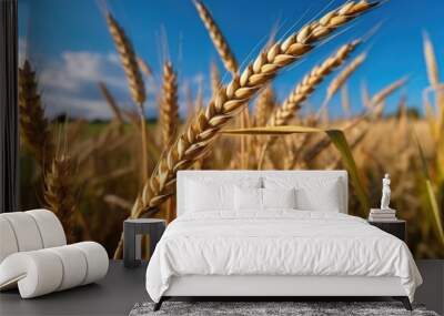 wheat in a summer day. Harvesting period Wall mural