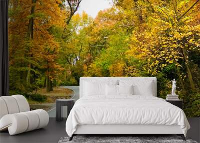 Winding road surrounded by trees with changing leaves. Wall mural