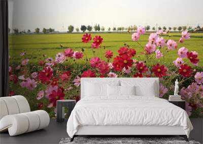 cosmos in the field Wall mural