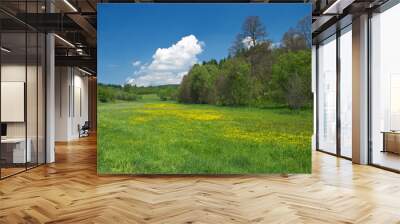 Green meadow with yellow flowers Wall mural