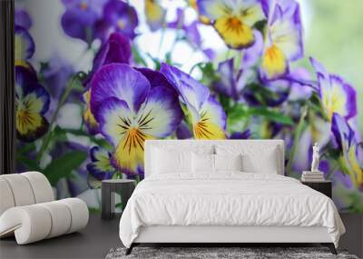 close up of purple viola tricolor flower blossom Wall mural