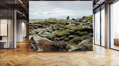 landscape of green moss lava field in Iceland Wall mural