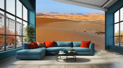 sand dune in desert at sunset Wall mural