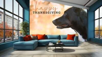 Happy Thanksgiving celebration with pet dog greeting for holiday season on blurred background. Wall mural