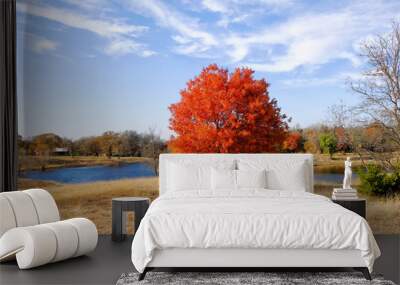 Texas autumn landscape with red leaves on tree Wall mural