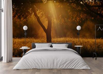 Texas field in rural landscape during fall sunrise through tree. Wall mural