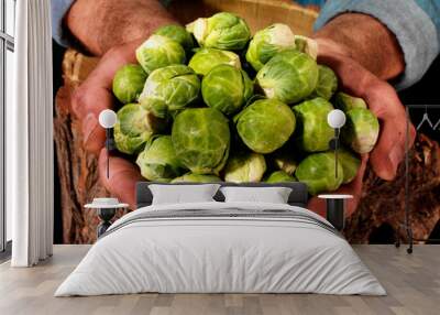 FARMER HOLDING BRUSSEL SPROUTS Wall mural