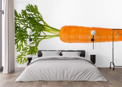 SINGLE CARROT CUT OUT Wall mural