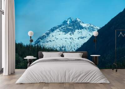 Alaskan Landscape Wall mural