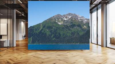 prince william sound coastline Wall mural