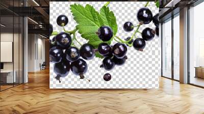 black currant on a white background Wall mural