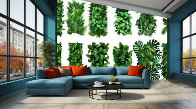 set of green garden walls with tropical plants Wall mural