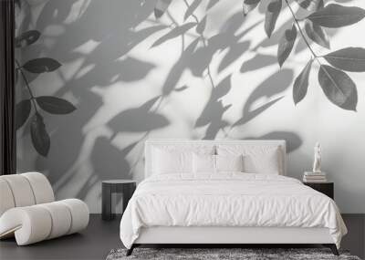 tree leafes shadow on white background Wall mural