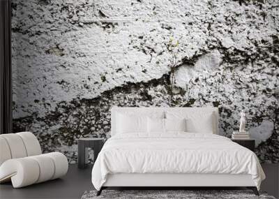 Textured stone wall Wall mural