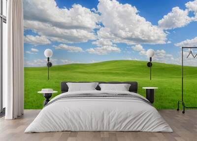 Green hill landscape under blue sky with white clouds, serene nature background, vibrant grass field, clear weather day, outdoor scenery for relaxation and peace Wall mural