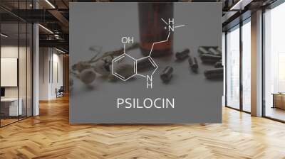 psilocin formula. Legalization Medical psychedelic. Medical psilocybin and psilocin on the health of Mental health . Wall mural