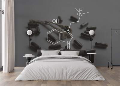 psilocin formula. Medical psilocybin and psilocin on the health of Mental health . Wall mural