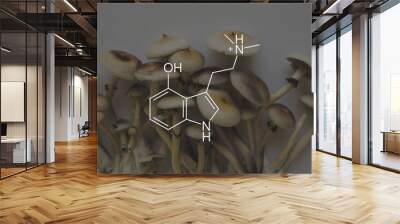 psilocin mushrooms formula. Legalization Medical psychedelic. Recreational use of psilocybin mushrooms. Wall mural