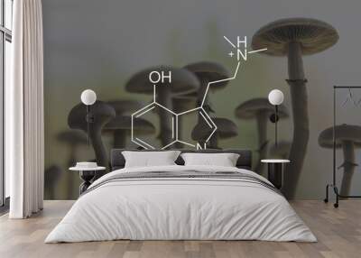 psilocin mushrooms formula. Medical psilocin on the health of Mental health Wall mural