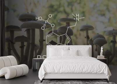 psilocybin formula mushrooms. Recreational use of psilocybin mushrooms. Legalization Medical Wall mural