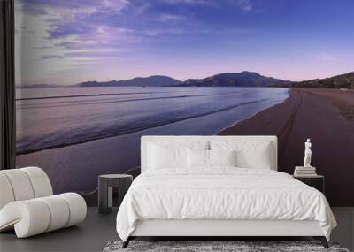 iztuzu beach Wall mural