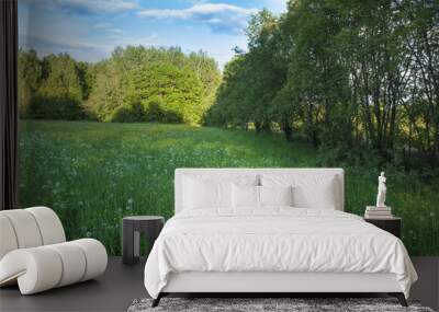 Dandelions in the clearing forest edge Wall mural