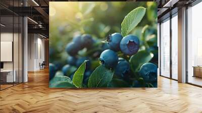 Tasty fresh blueberries as background Wall mural