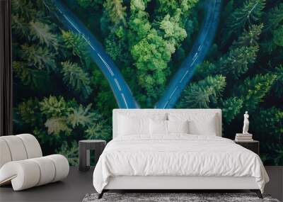 two roads deciding for best chance of environment protection. Wall mural