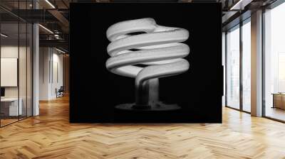 Fluorescent light bulb Wall mural