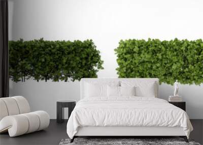 green bush set  isolated on white background. Nature and plant collection. Wall mural