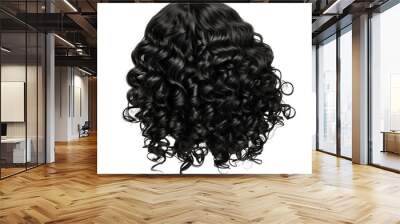 curly black hair isolated on white background Wall mural