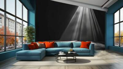 Black background with one spotlight beam shining down on the center of it  Wall mural