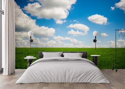 Beatiful morning green field with blue heaven Wall mural