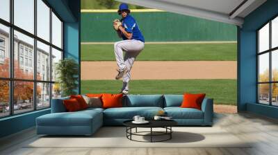 high school baseball pitcher Wall mural