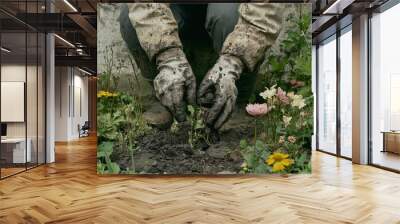 a person in gardening gloves is kneeling down in the dirt Wall mural